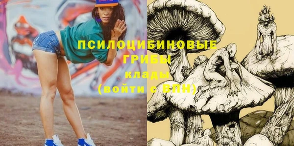 МДПВ Алексин